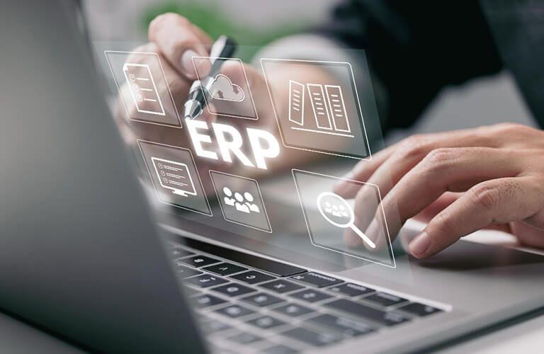 Healthcare ERP Customization